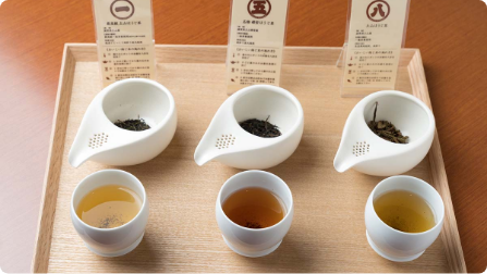 The largest tea plantations ”Shiga”,the birthplace of Japanese tea × A special “Hojicha experience” by a 10th-dan professional tea master