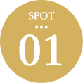 SPOT01