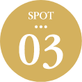 SPOT03