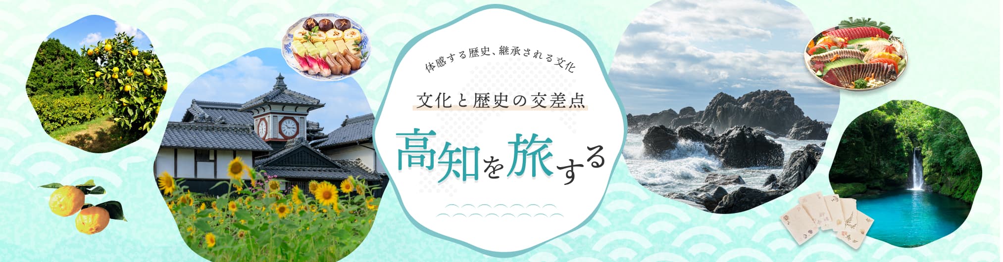 高知のおすすめ文化体験