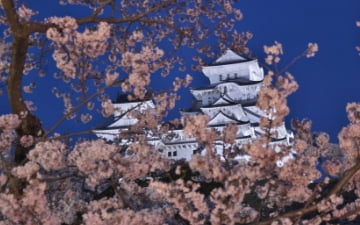 関西周遊おすすめモデルコース6