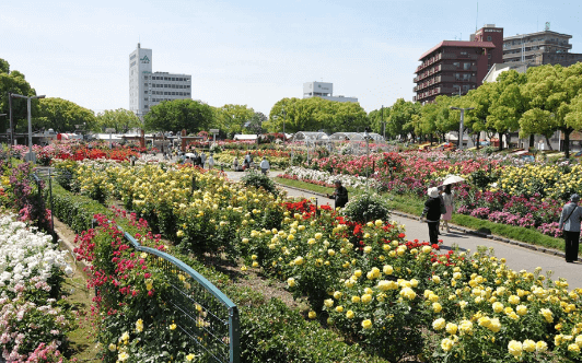 ばら公園