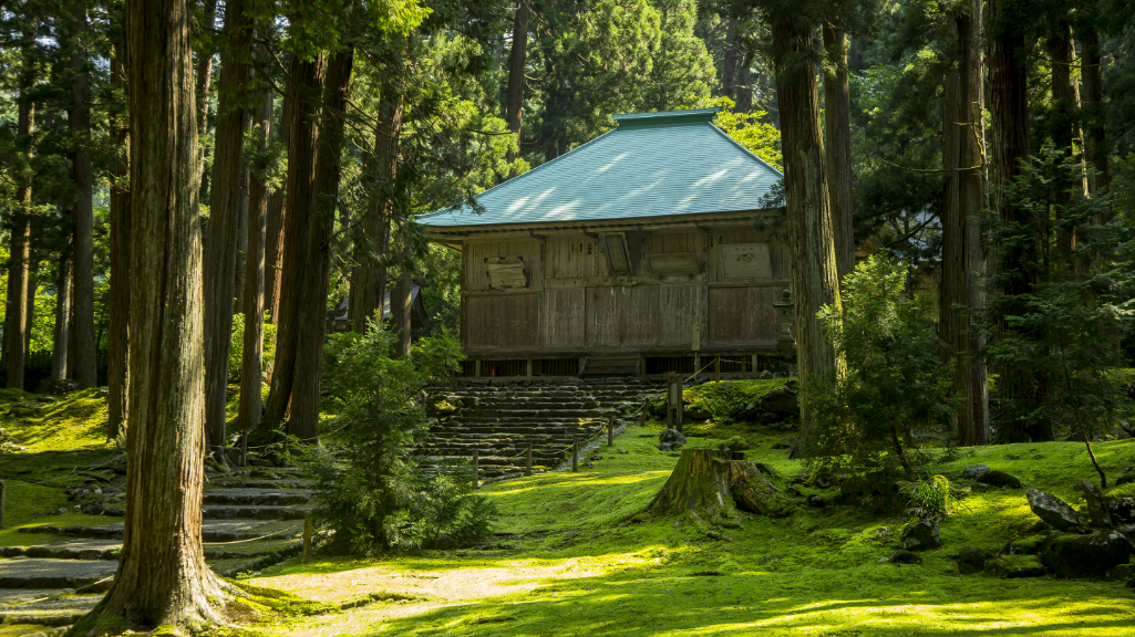 平泉寺白山神社01