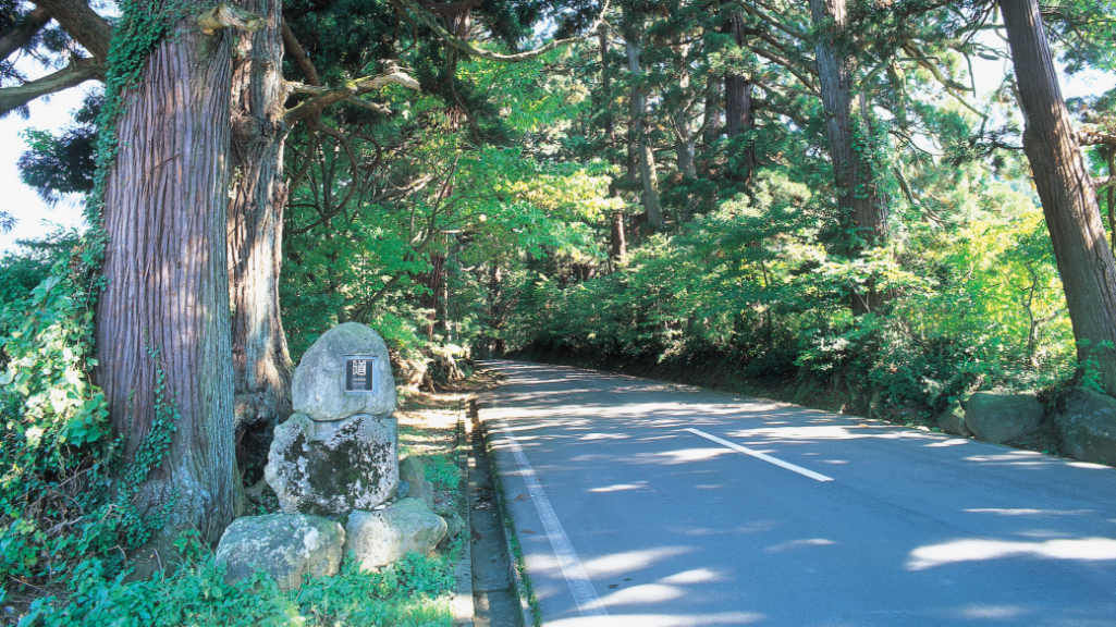 平泉寺白山神社02