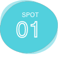 SPOT01