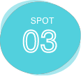 SPOT03