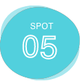 SPOT05