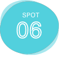 SPOT06