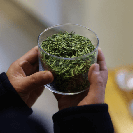 丸八製茶場