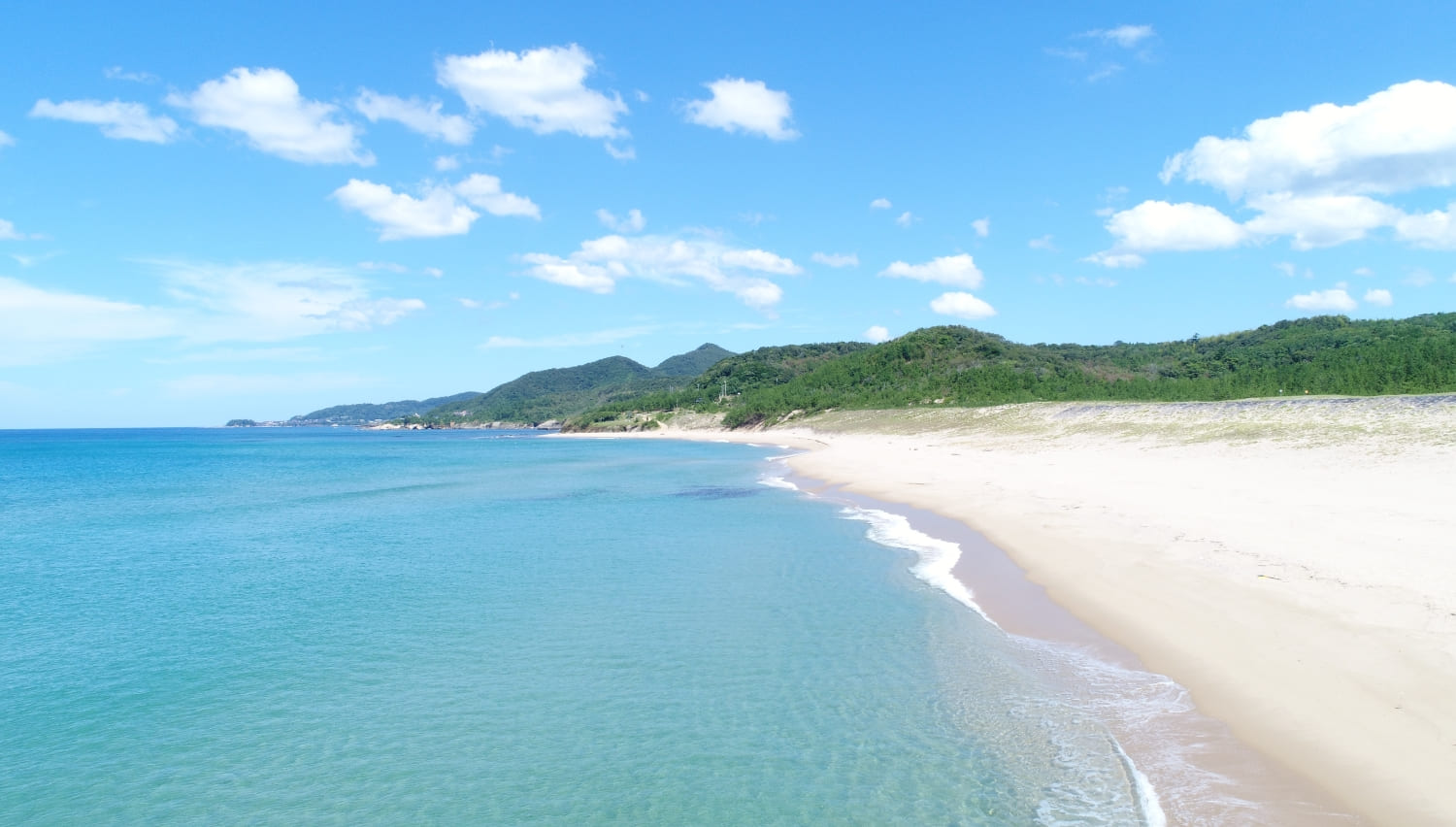 琴引浜 砂浜