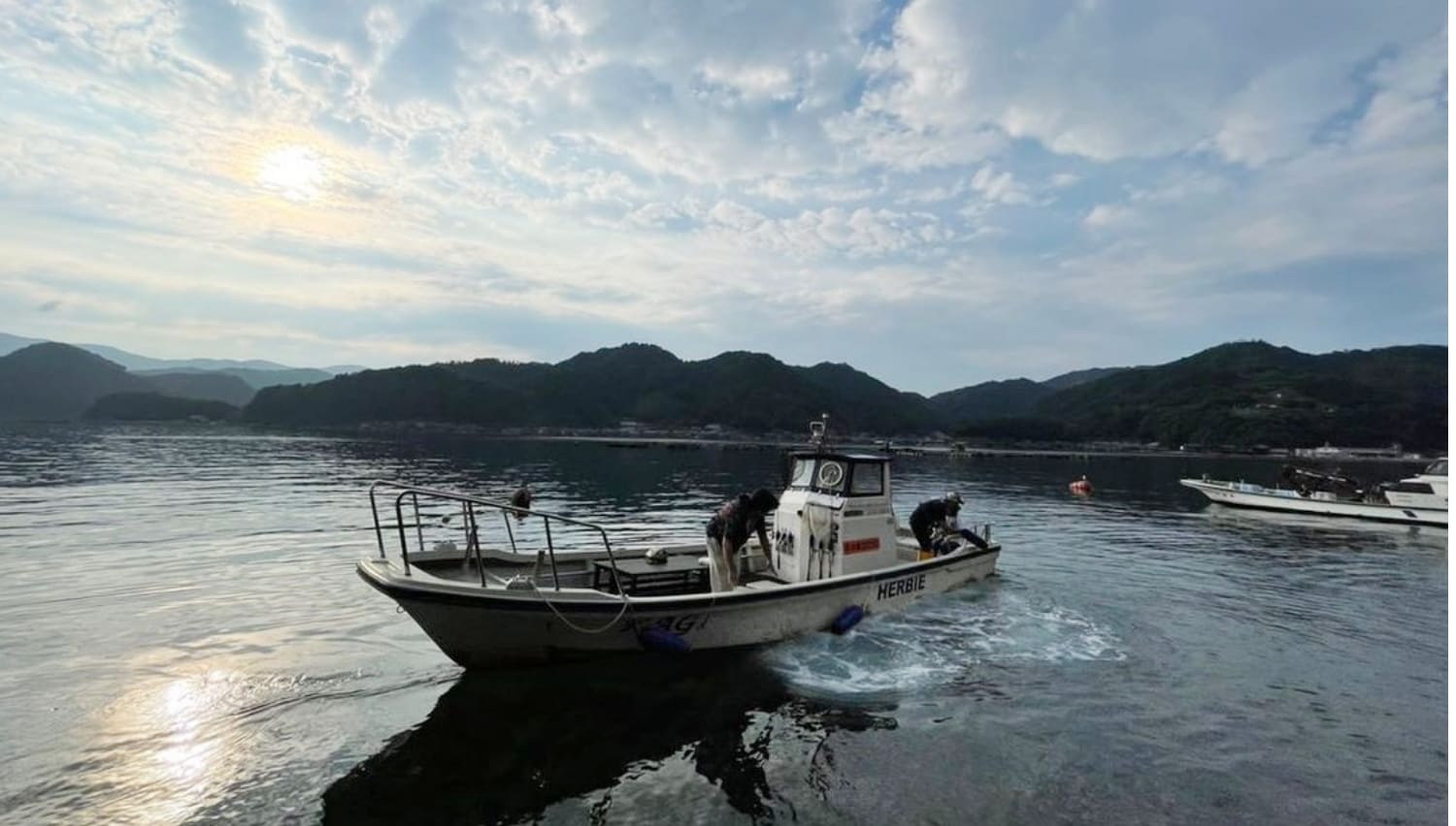 伊根湾内の遊覧
