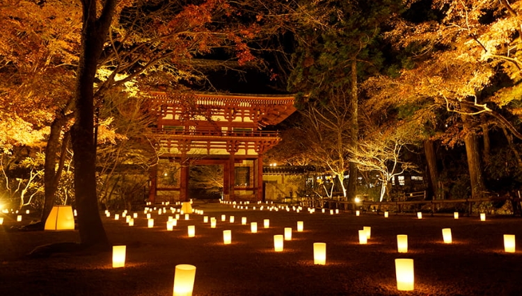 室生寺 ライトアップ