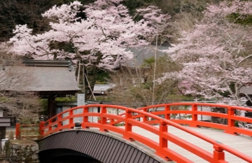 橋本屋太鼓橋