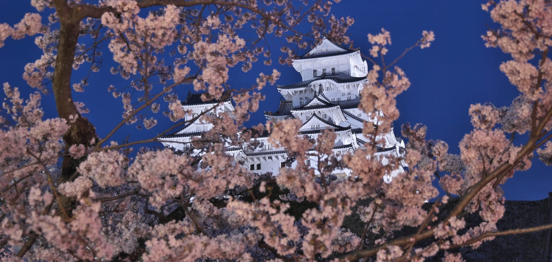 全国巡りたび 関西周遊 祈りの地・伊勢神宮をめぐり、自然や文化、食の恵みを堪能する3泊4日の旅