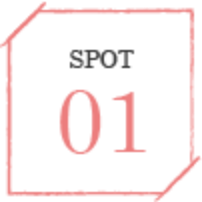 SPOT01