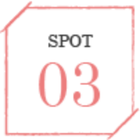 SPOT03