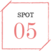 SPOT05