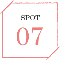 SPOT07