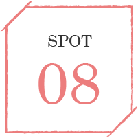 SPOT08