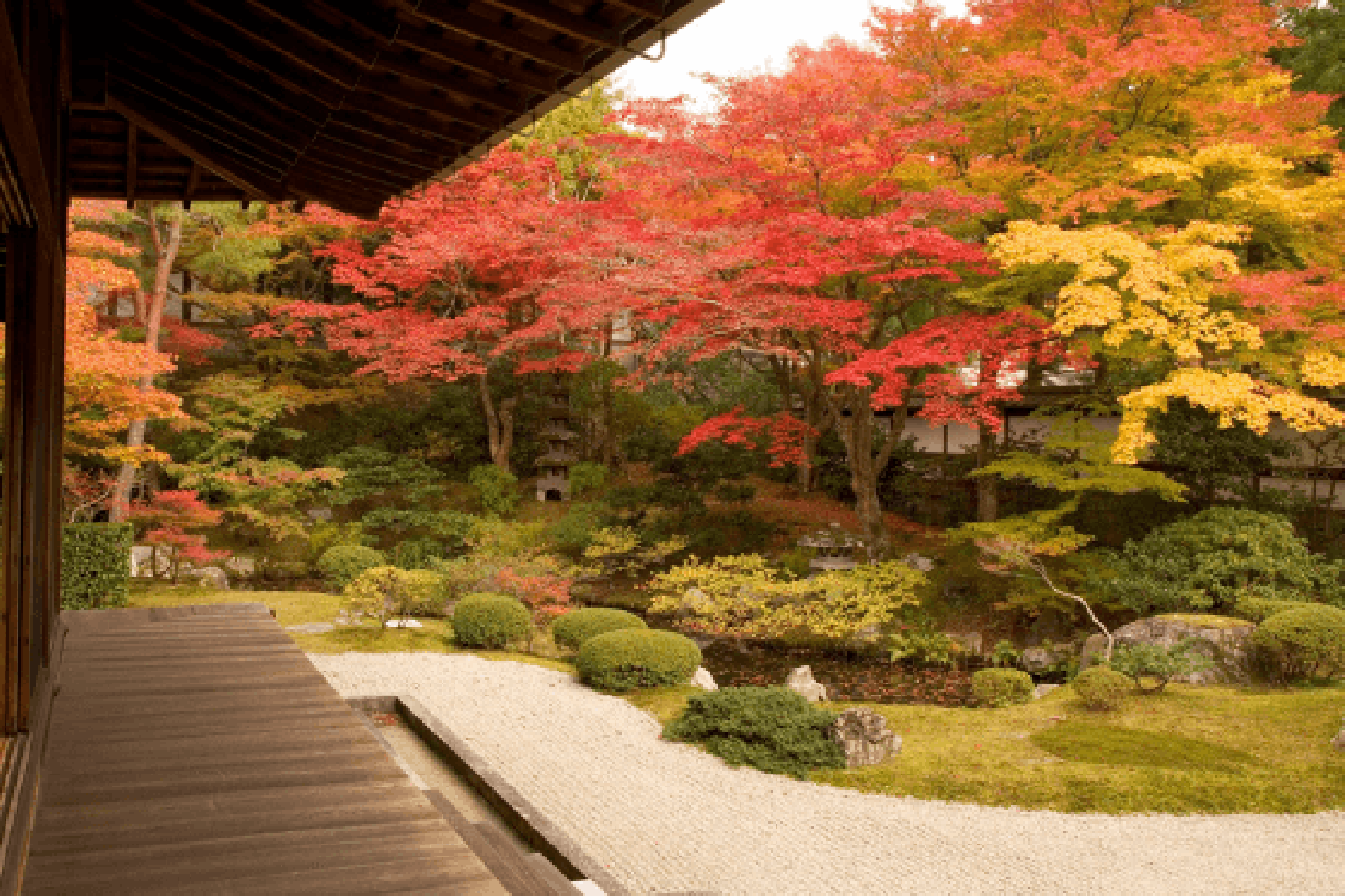 泉涌寺