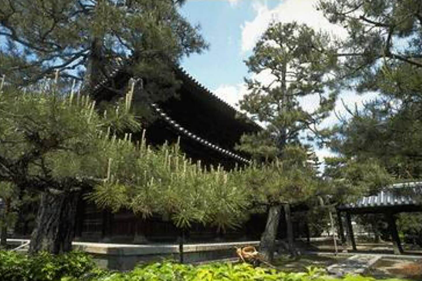大徳寺
