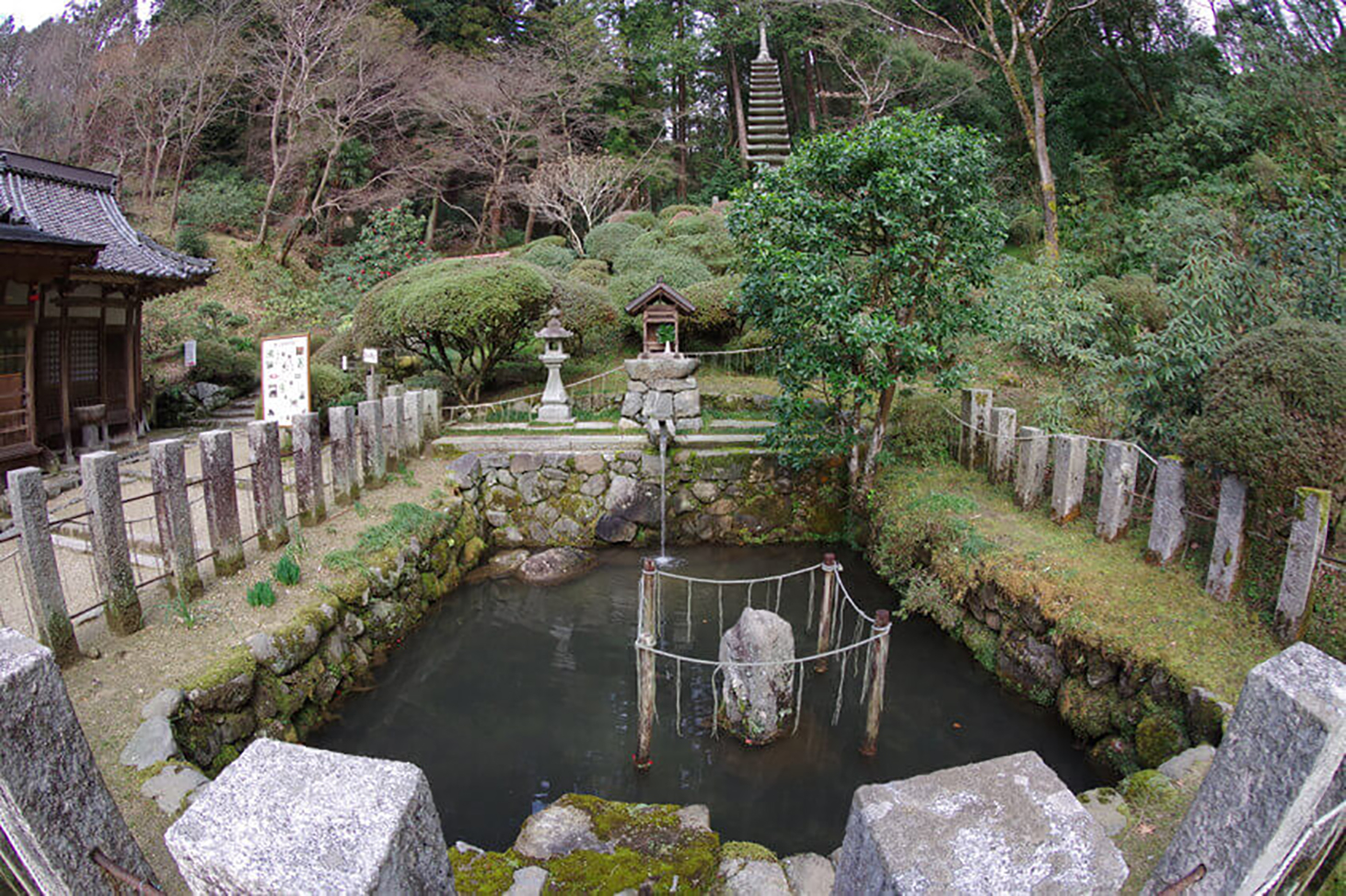 岡寺