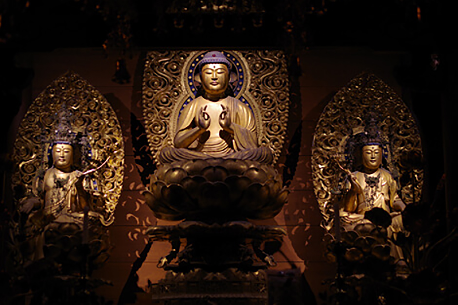 岡寺