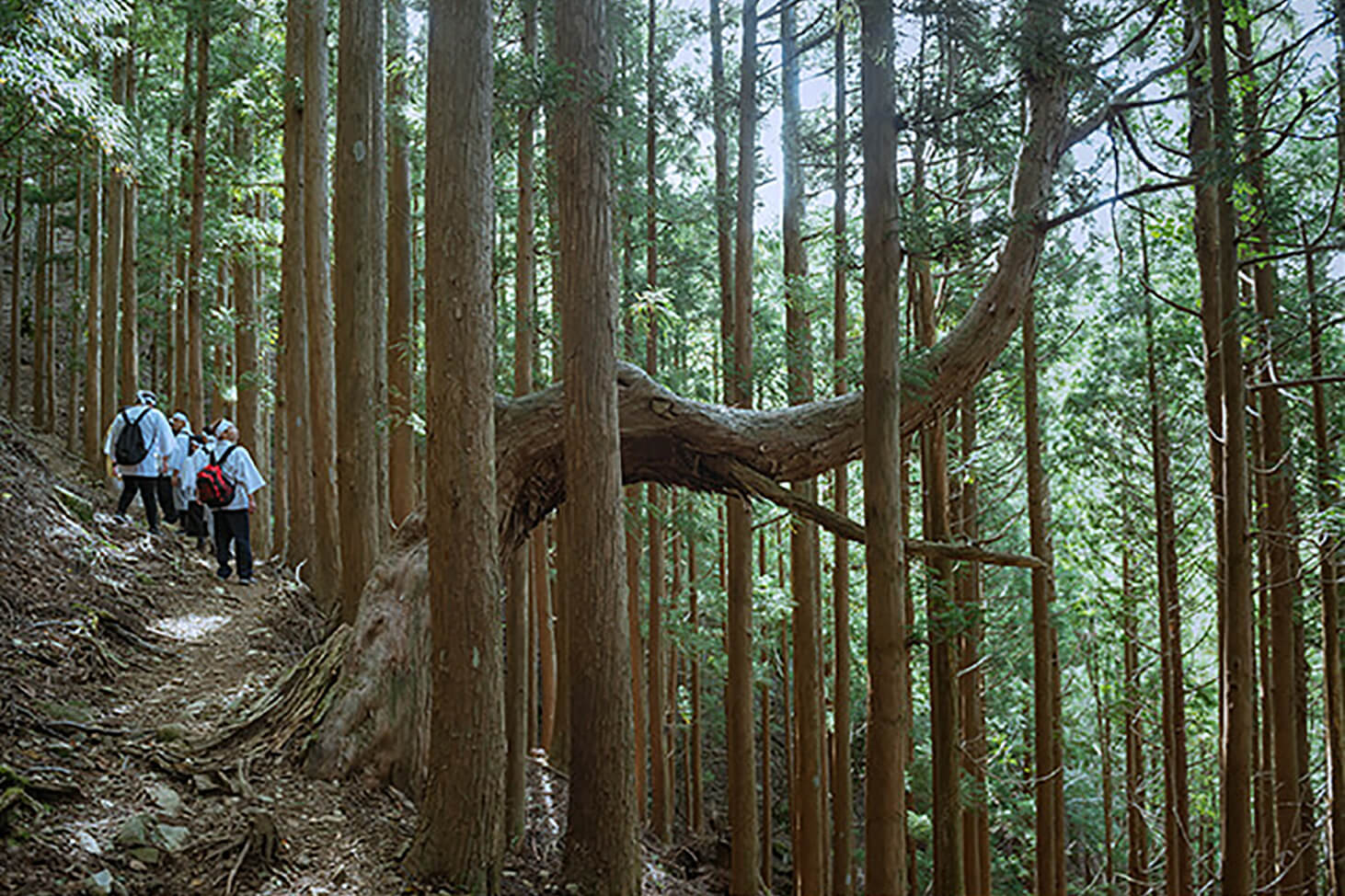 山伏装束着衣による修験道入門