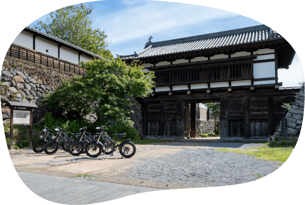 高原の木道を歩く人々