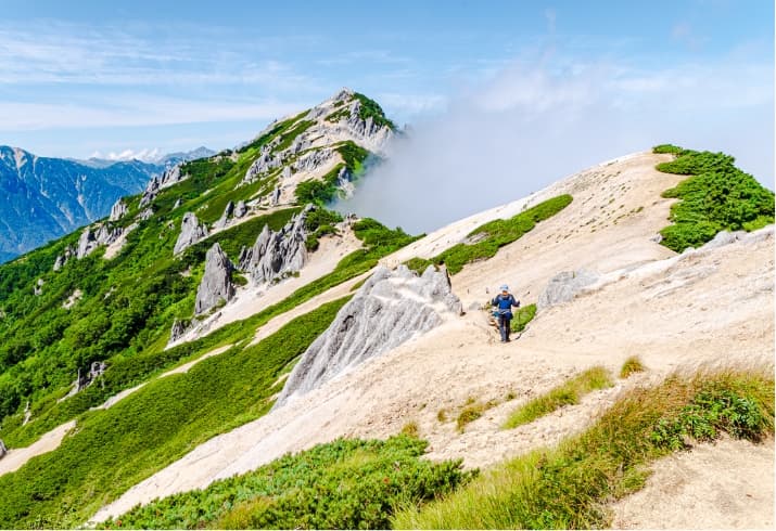 稜線を歩く登山者と夏山