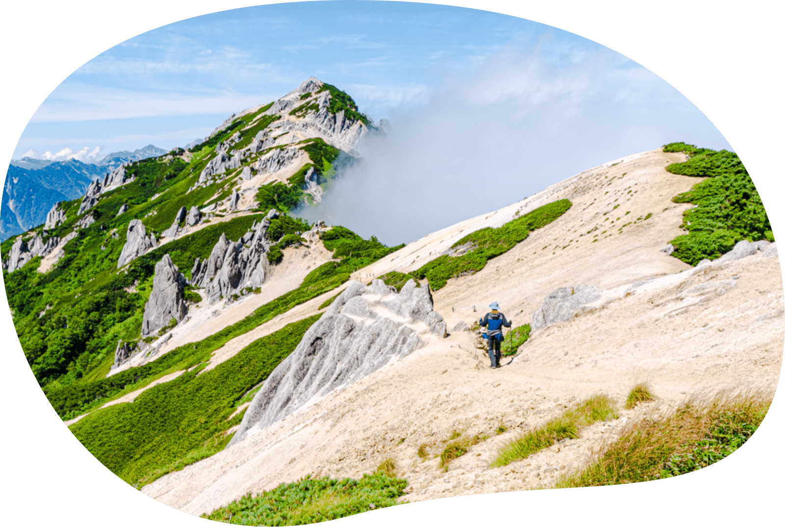 夏山の稜線を歩く登山者