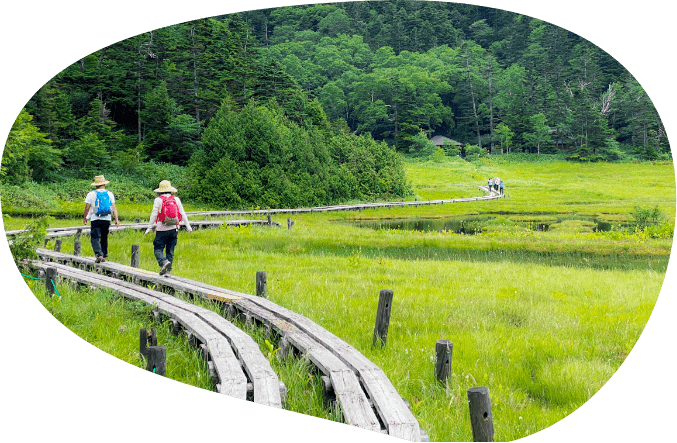 高原の木道を歩く人々