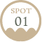 SPOT01