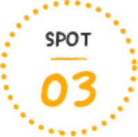 SPOT03