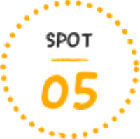 SPOT05