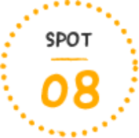 SPOT08